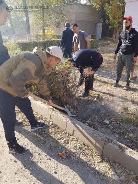 "Тазалық - саулық негізі, саулық байлық - негізі"