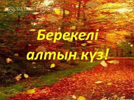 "Берекелі күз" жәрмеңкесі