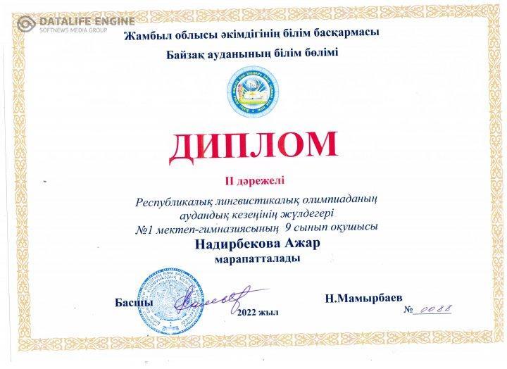 Орыс тілі пәнінен  лингвистикалық олимпиаданың аудандық кезеңі